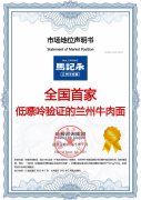尚普咨询集团：马记永荣获尚普咨询系列品牌声明